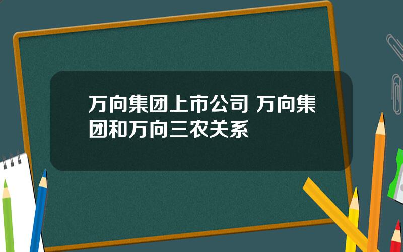 万向集团上市公司 万向集团和万向三农关系